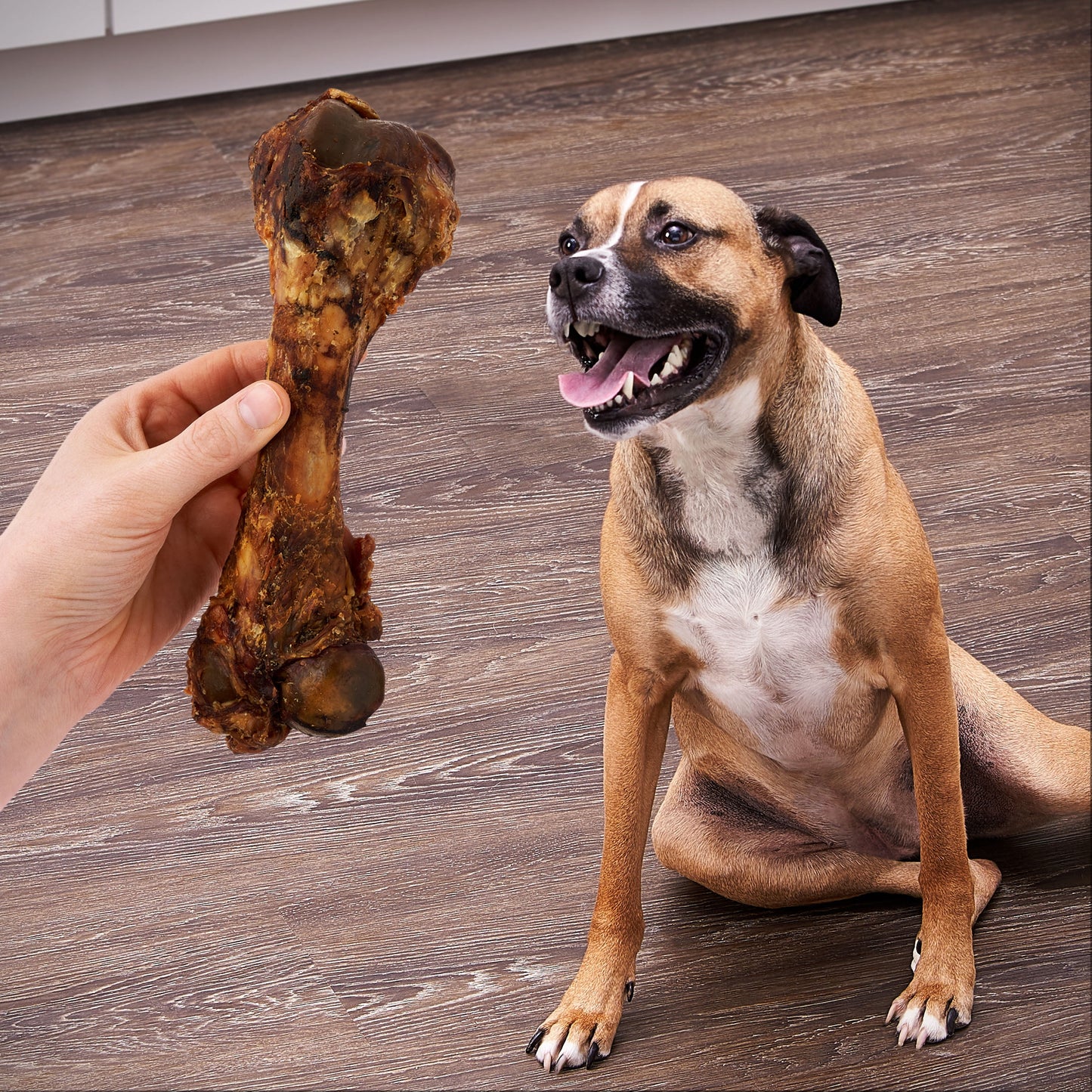 Ol' Roy Natural Pork Femur Chew for Dogs, 9.28 oz