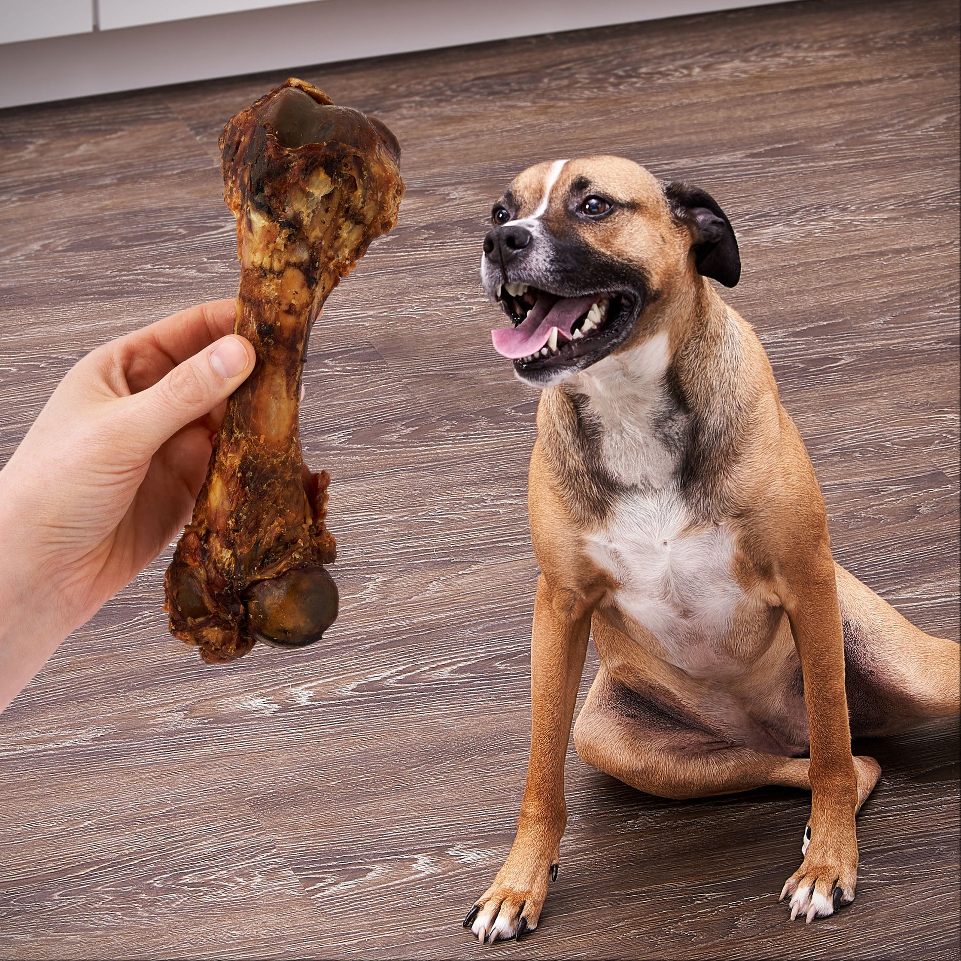 Ol' Roy Natural Pork Femur Chew for Dogs, 9.28 oz