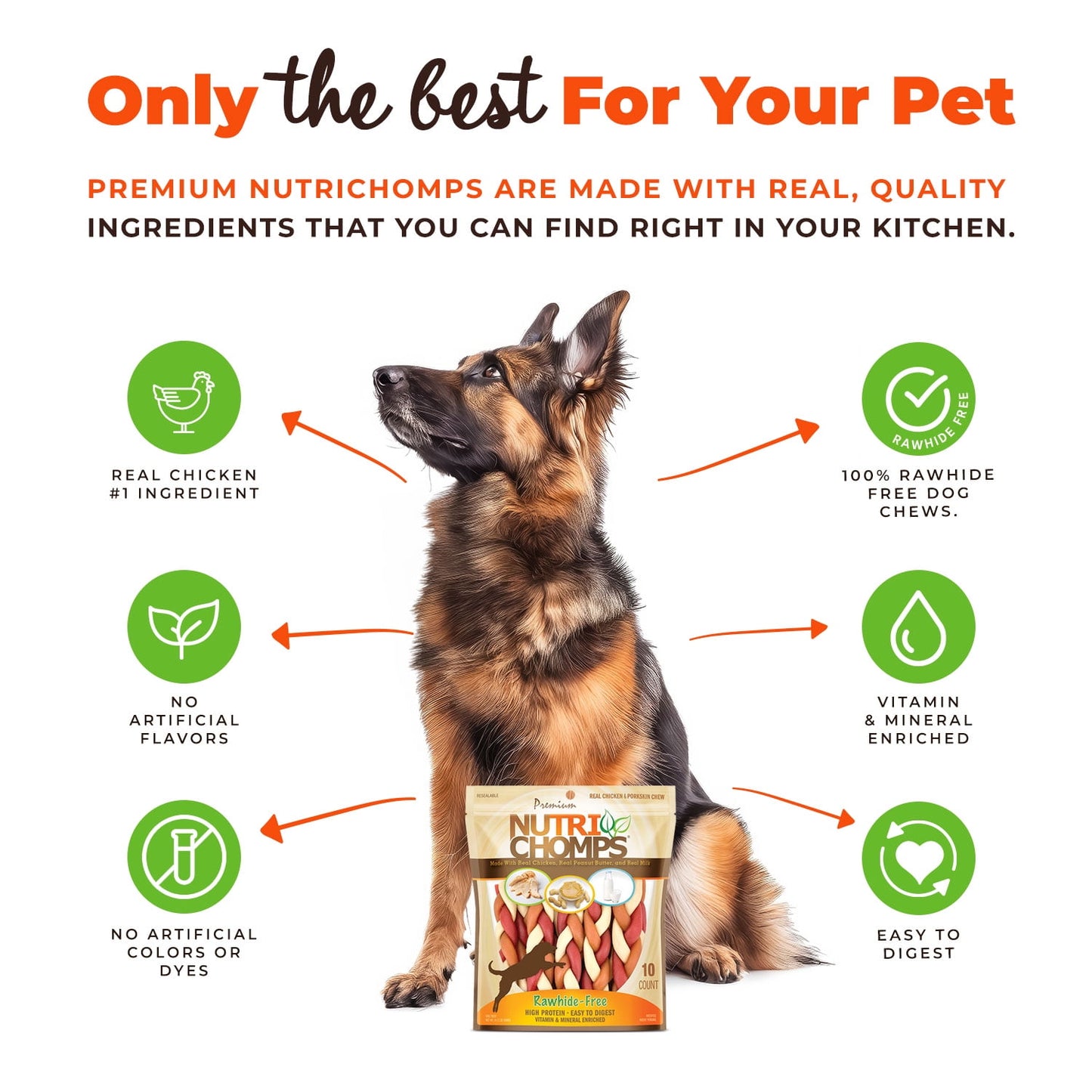 NutriChomps Dog Chews, 6-inch Braids, Easy to Digest, Rawhide-Free Dog Treats, Healthy, 10 Count, Real Chicken, Peanut Butter and Milk flavors