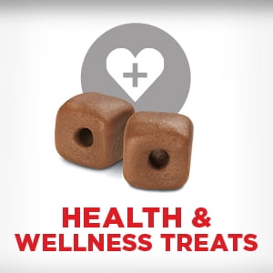 (5 Pack) Milk-Bone Pill Pouches Dog Treats, 2 Flavor Variety Pack, 6 oz Bags