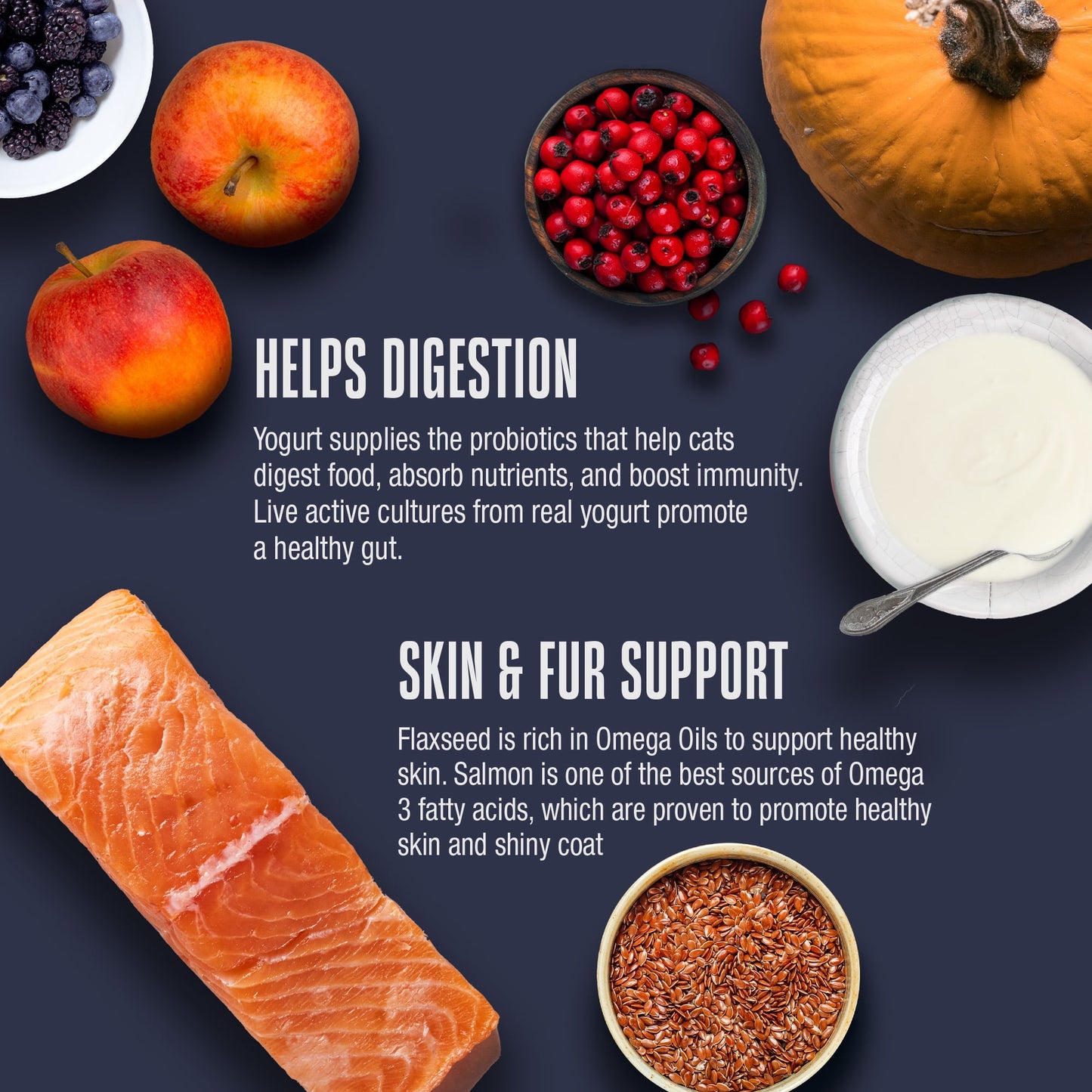 Whole Life Pet Living Treats – Healthy Skin Probiotic Snack For Cats, 1oz