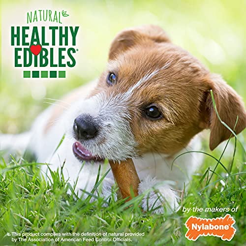 Nylabone Healthy Edibles All-Natural Long Lasting Bacon Dog Chew Treats 3 Count, Bacon Small/Regular