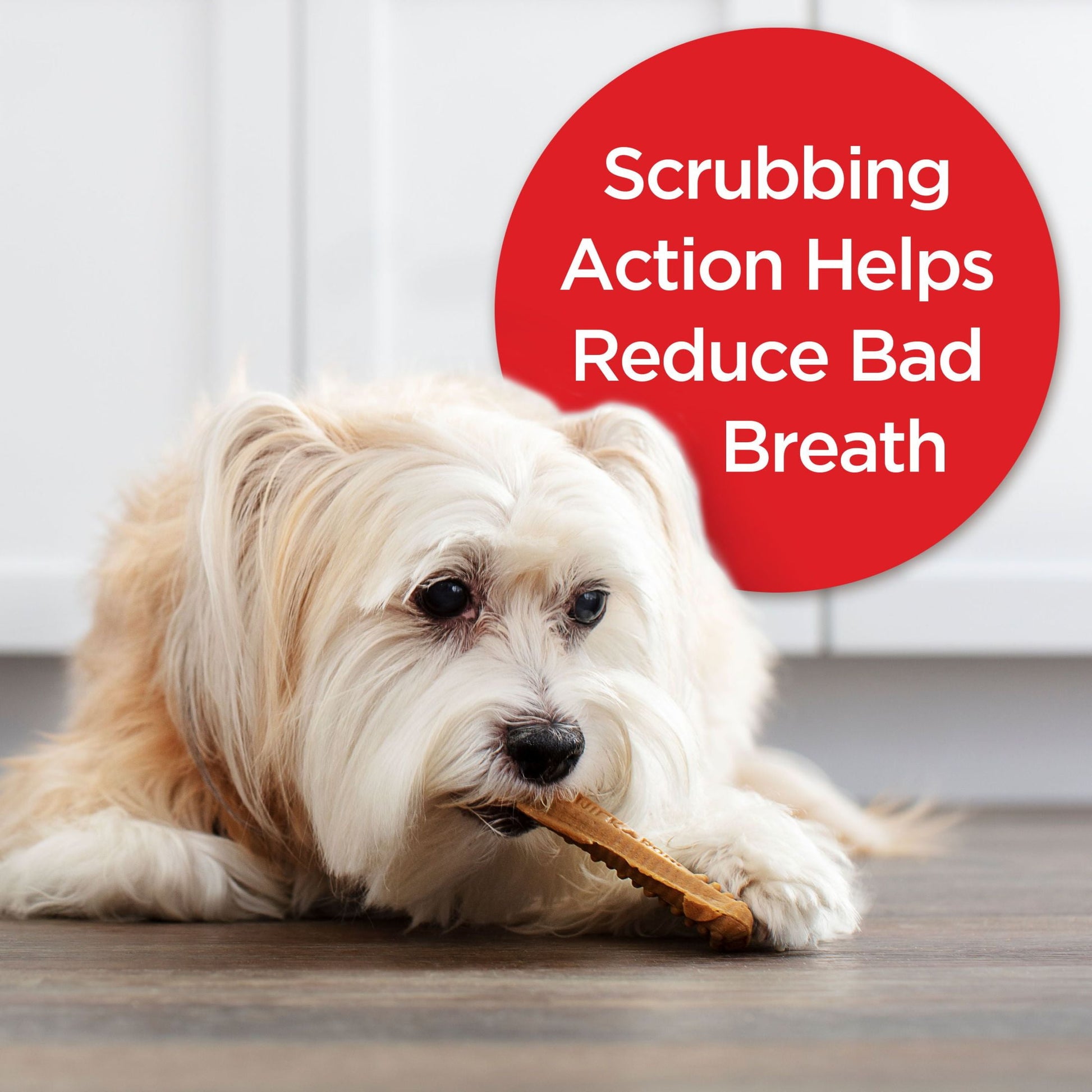 Milk Bone Brushing Chews Daily Dental Dog Treats, Mini, 7.1 oz Bag, 18 Bones Per Bag