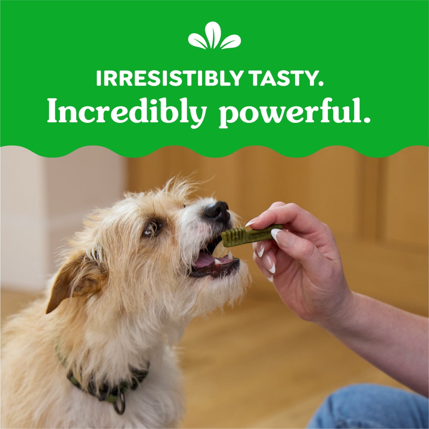 Greenies Teenie Natural Dog Dental Treats, Sweet Potato Flavor, 12 Oz Pack (43 Treats)