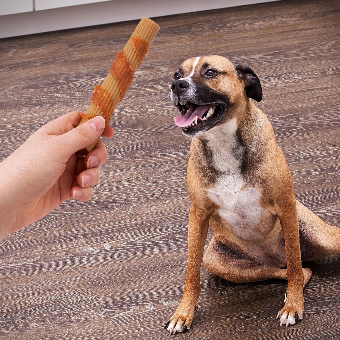 Ol' Roy Rawhide Free Wrapped Rolls with Chicken, 4 Count