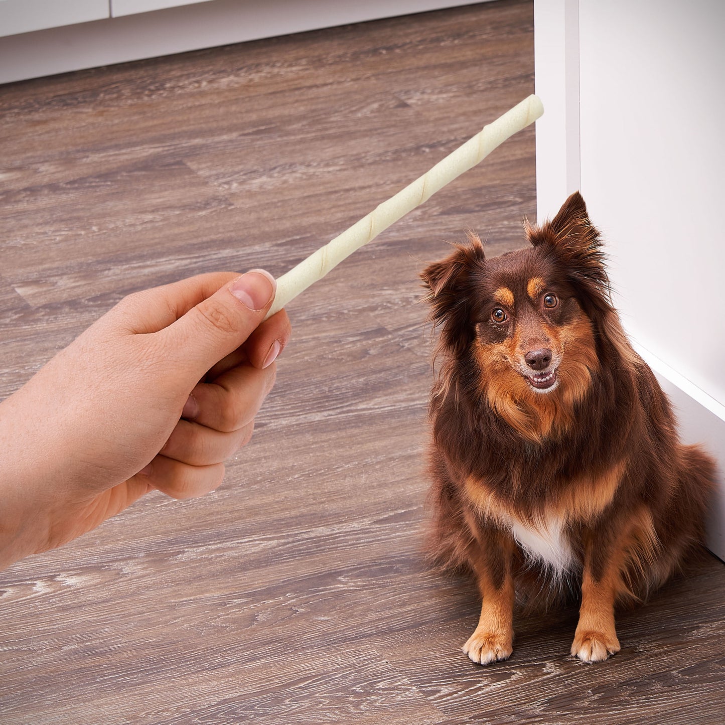 Ol Roy Rawhide Sticks Natural Beefhide, Chews for Dogs, 5", 11.4 oz, 50 Count, Dry