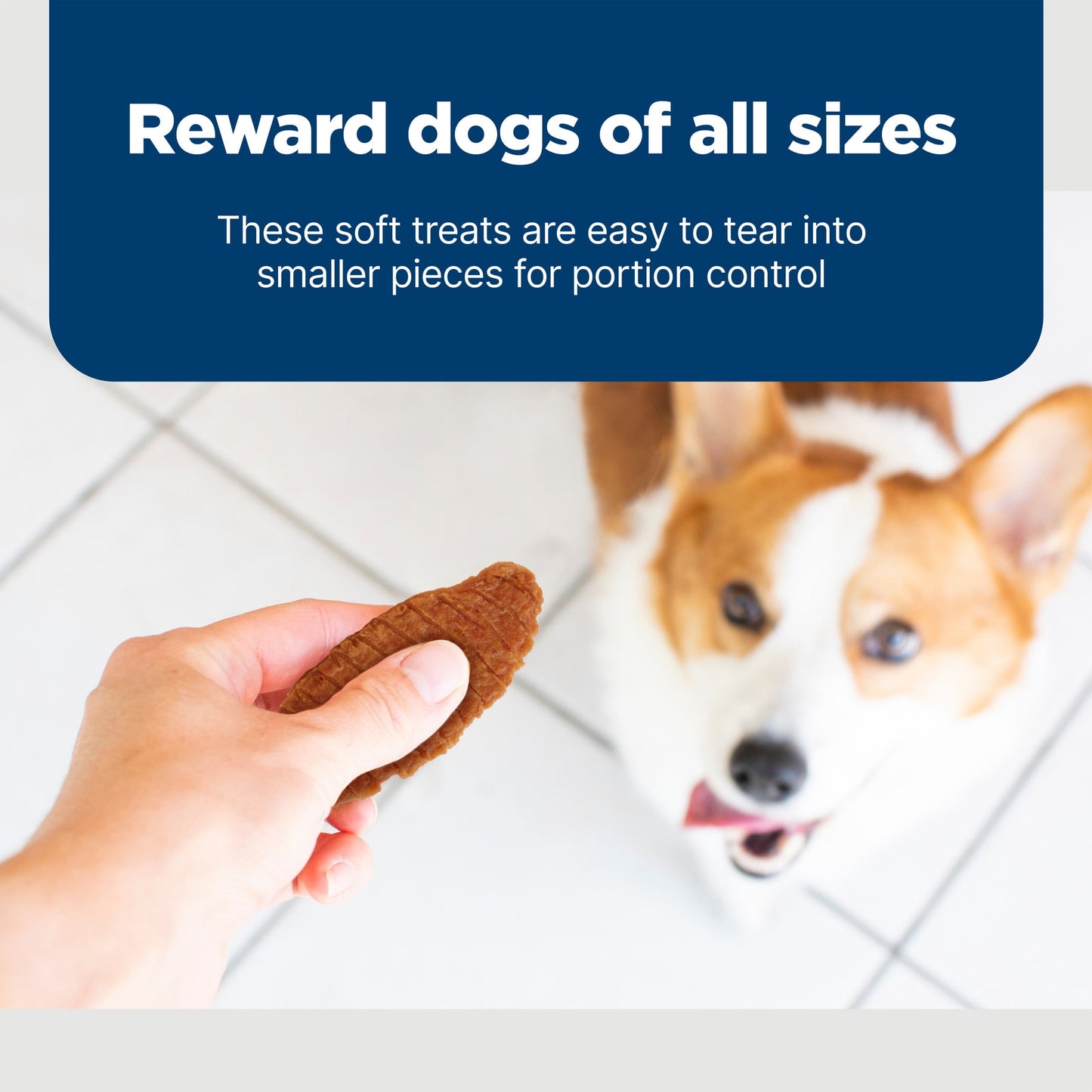 Blue Buffalo Nudges Jerky Cuts Dog Treats Made with Real Chicken, 36-oz. Bag