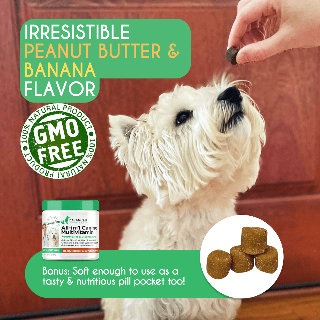 Balanced Breed All-in-1 Dog Vitamins Supplement Skin Coat Hip Joint NonGMO Made in USA-60 Soft Chews