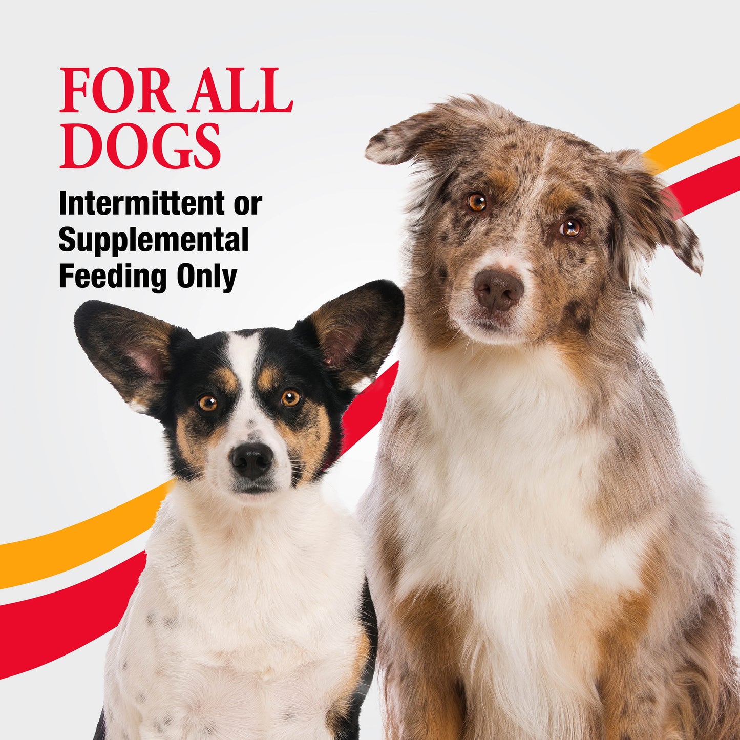 Good ‘n’ Fun Triple Flavor Crunch Rolls, Rawhide Chews for All Dogs, Real Chicken & Bacon, 5 Count